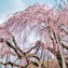 index-news41E